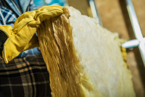 Best Fiberglass Insulation  in Lake Belvedere Estates, FL